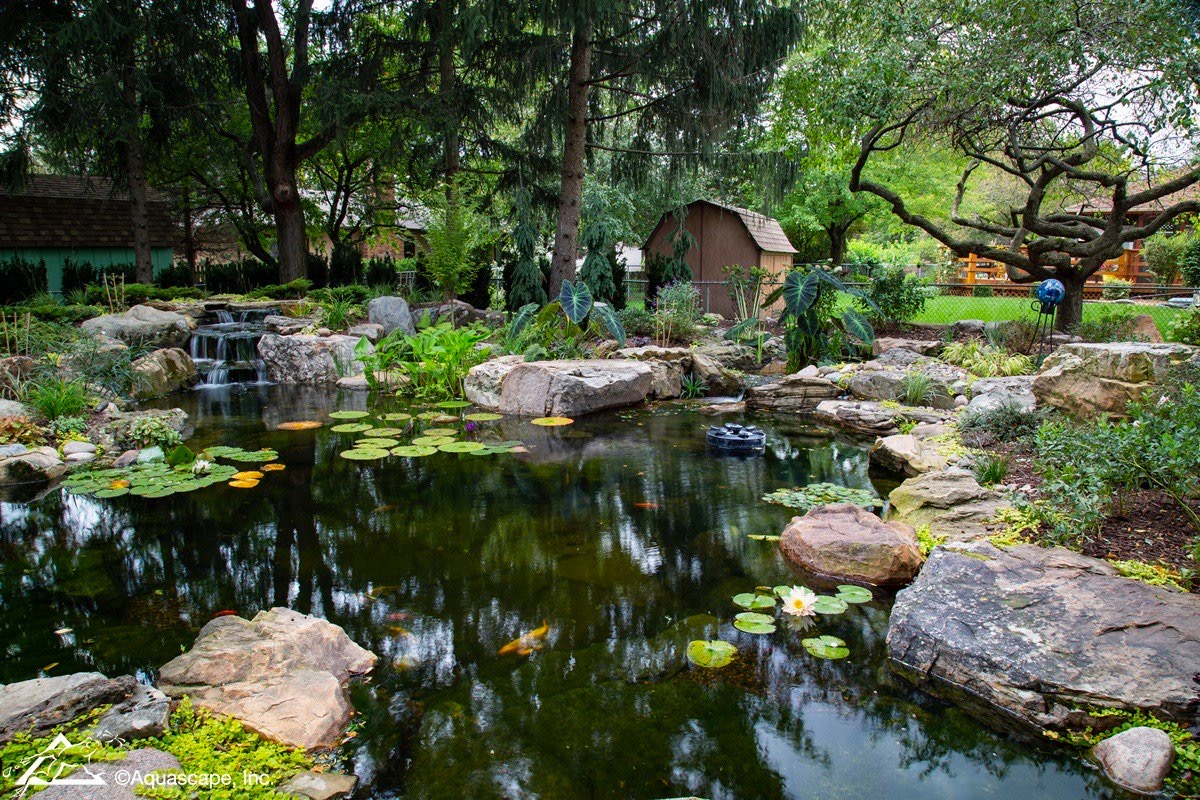 Tips To Maintaining An Eco Pond Aqualivin
