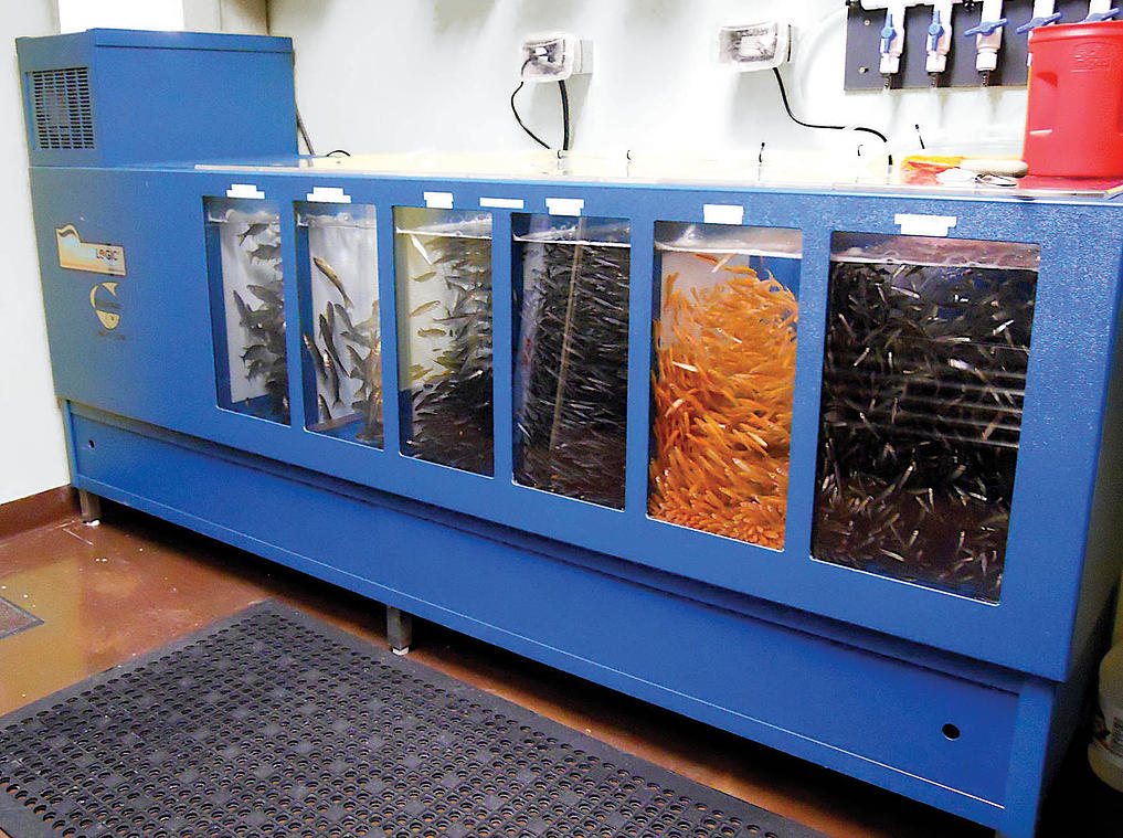 ‘Bait Pro’ Live Bait Holding System Aqualogic