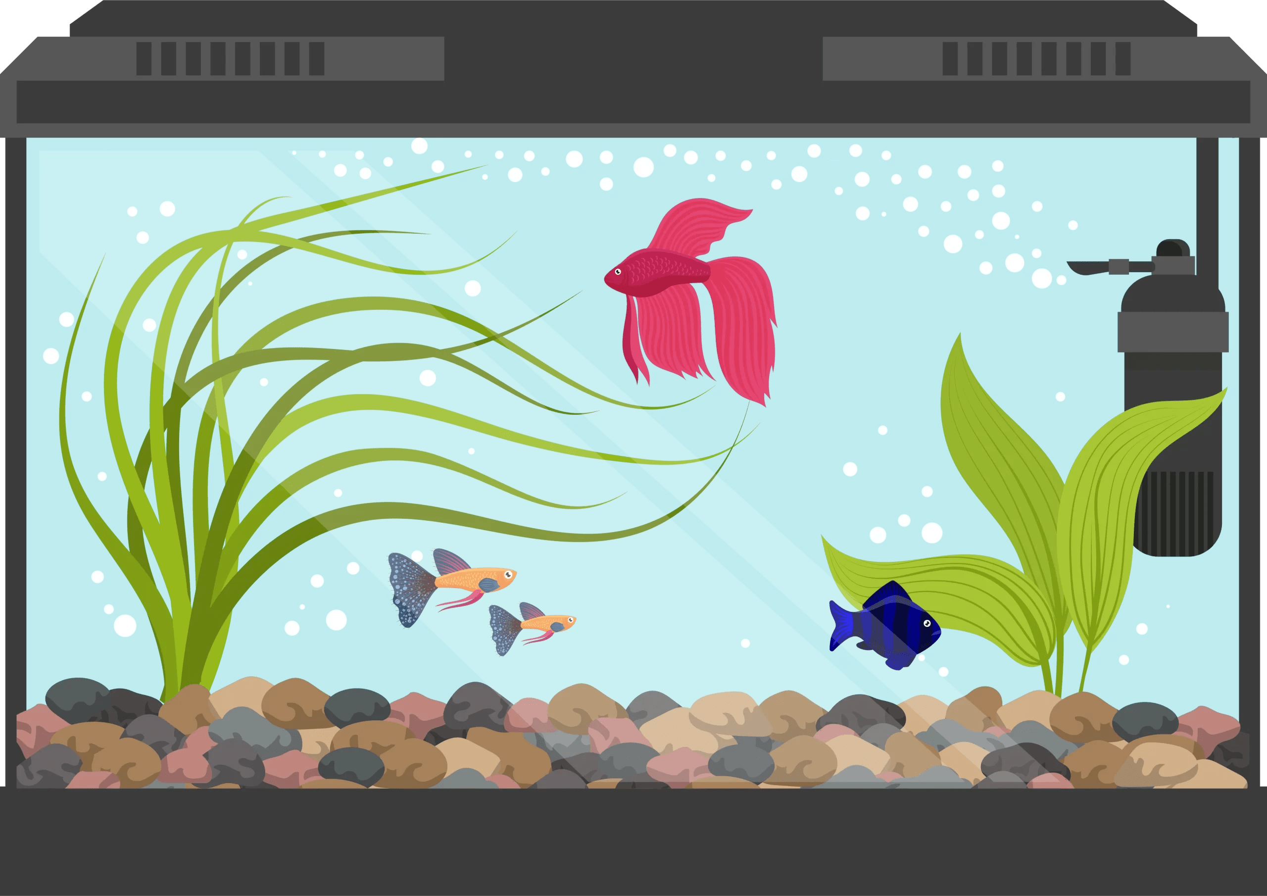 Fish Tank Calculator