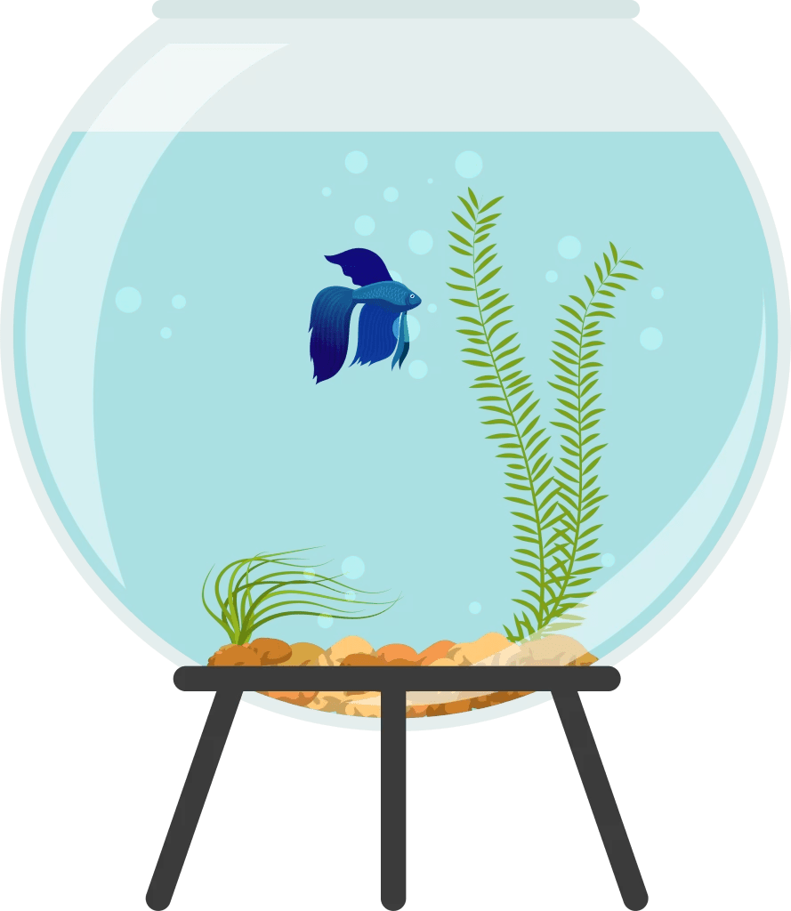 Fish Tank Calculator