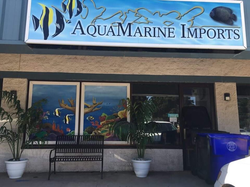 Coral & Saltwater Aquarium Store in Appleton, WI