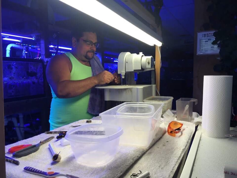 Coral & Saltwater Aquarium Store in Appleton, WI