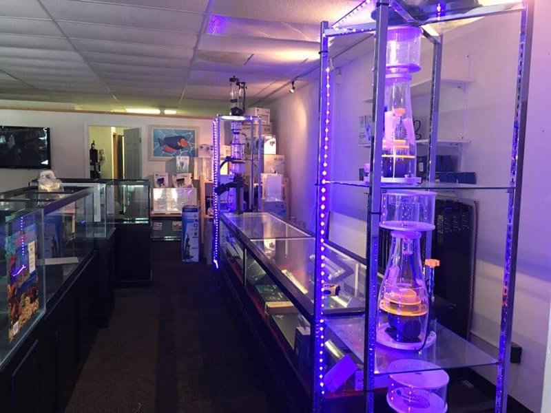 Coral & Saltwater Aquarium Store in Appleton, WI