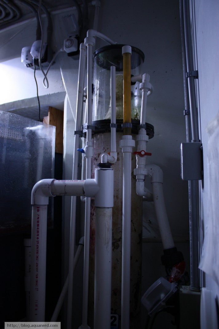 Behind the Scenes at Moody Gardens AquaNerd