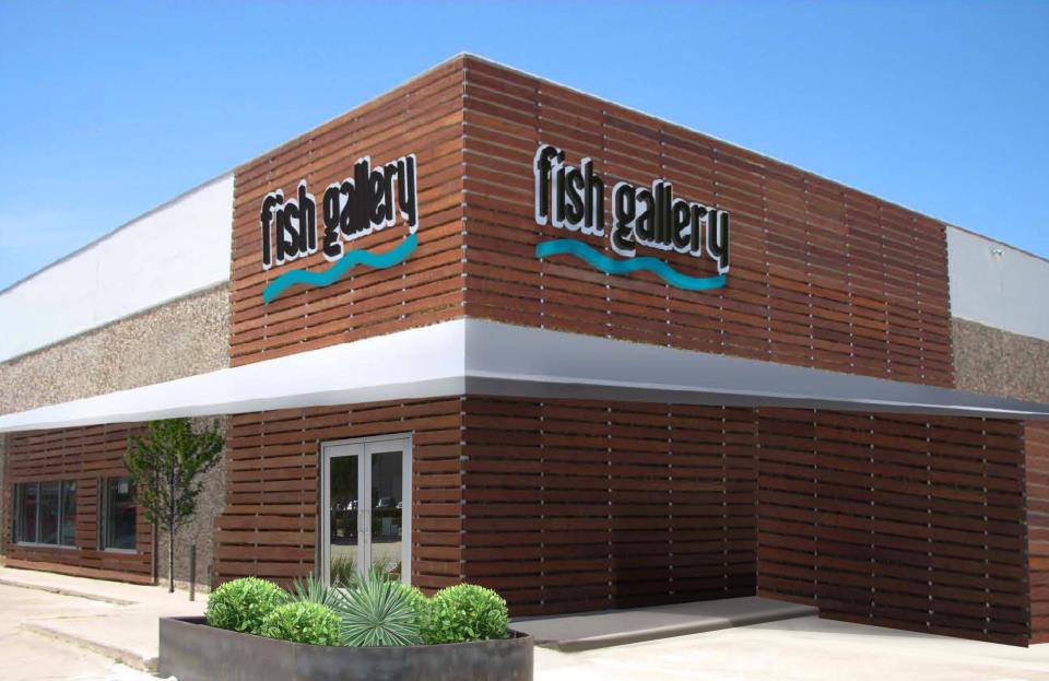Fish Gallery Invades Austin with Swanky New Store AquaNerd