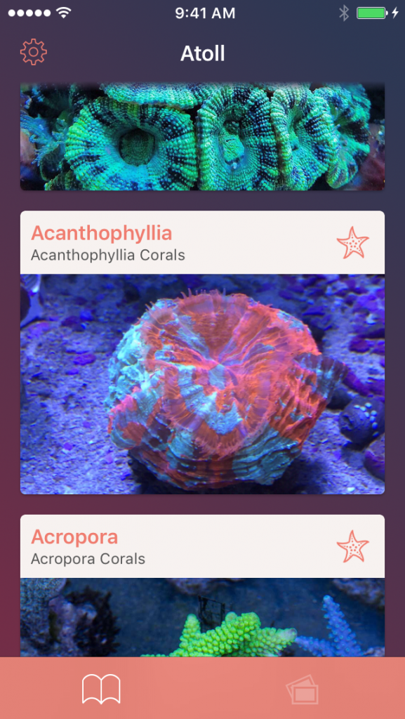 Coral Atoll introduces its new app for Reef Aquarium