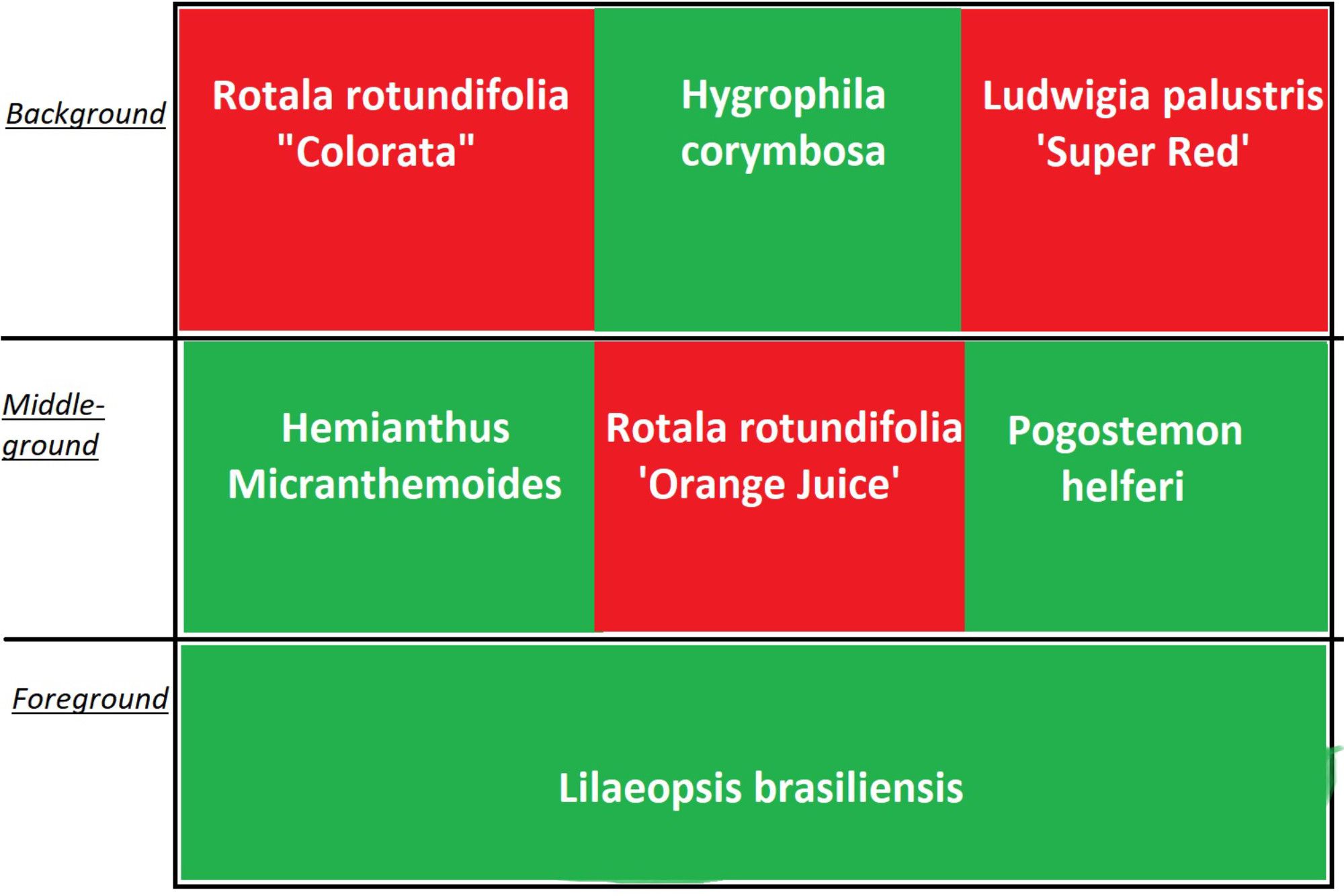 How to Set Up a No Filter Aquarium