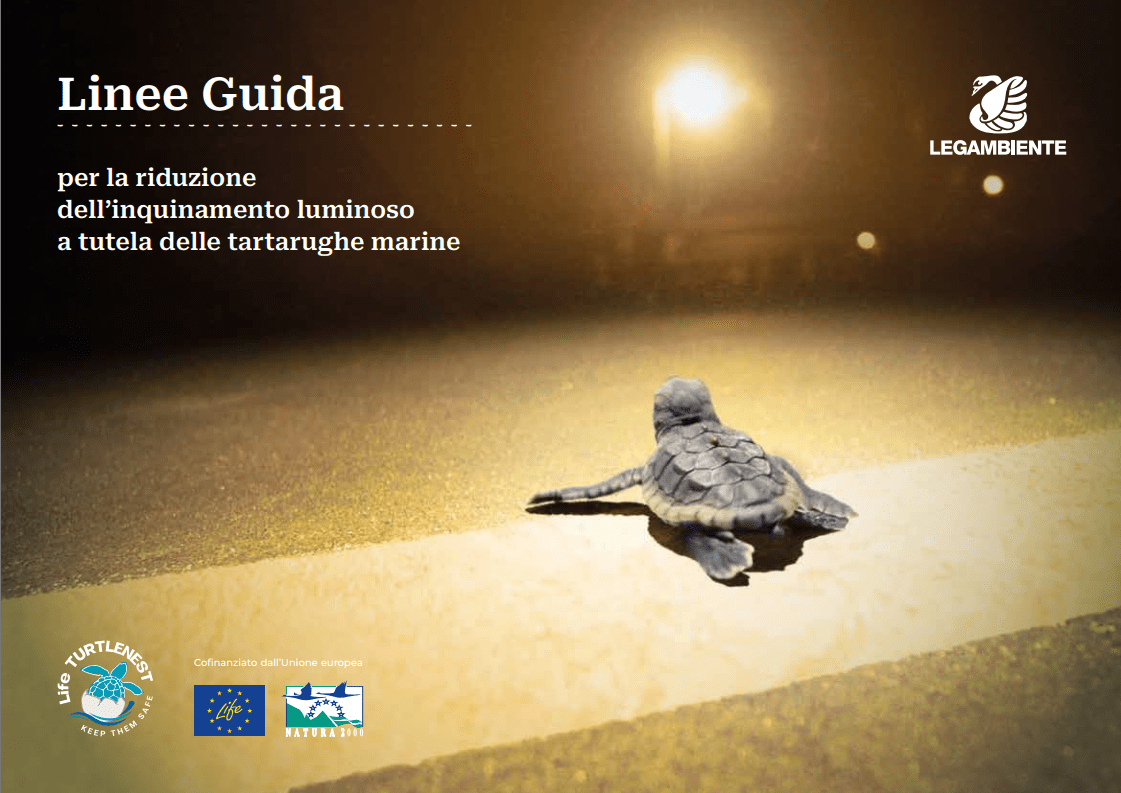 Guidelines for the reduction of light pollution to protect sea turtles