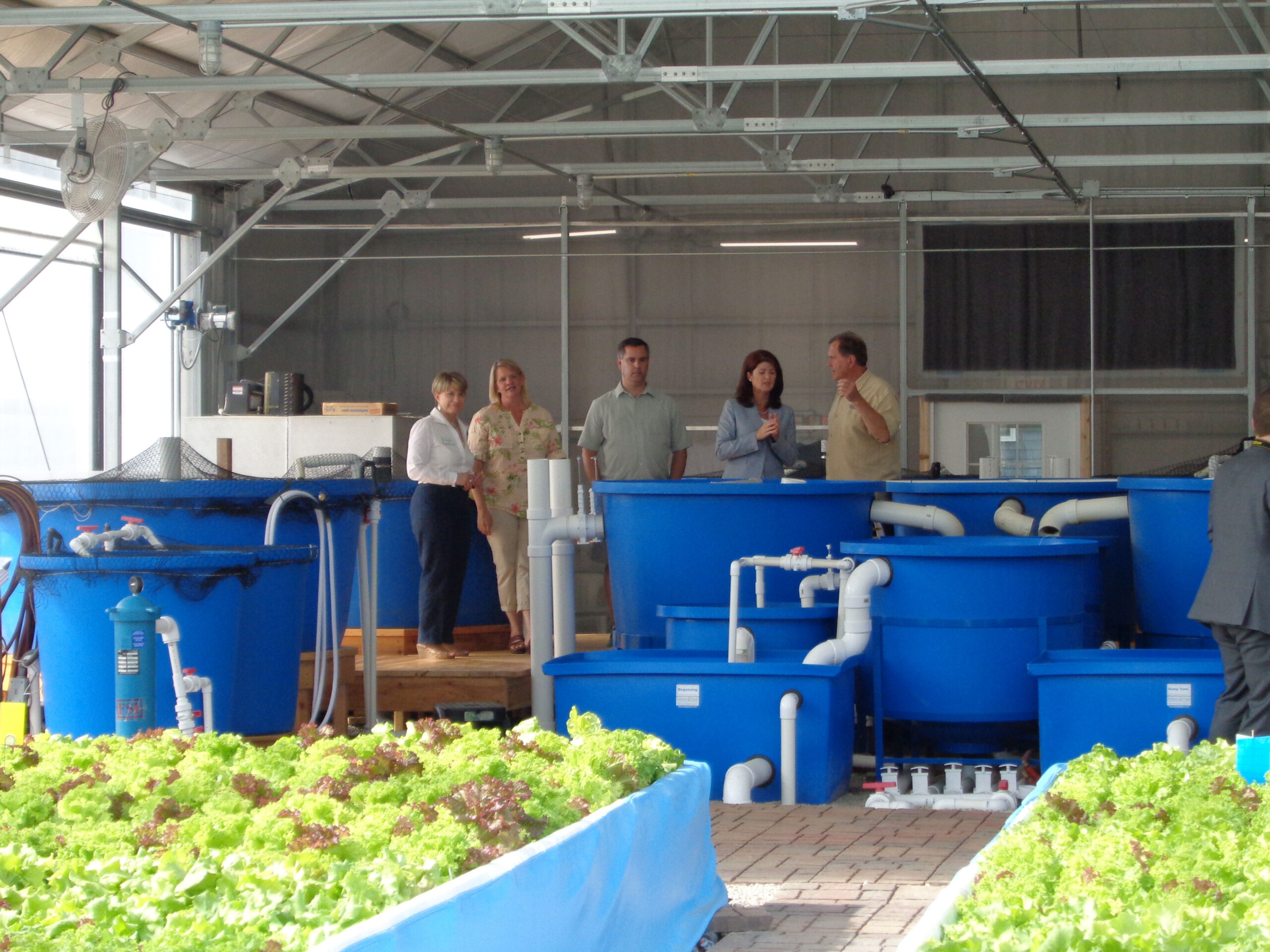 Opportunities in Aquaponics Business A Profitable Business Model