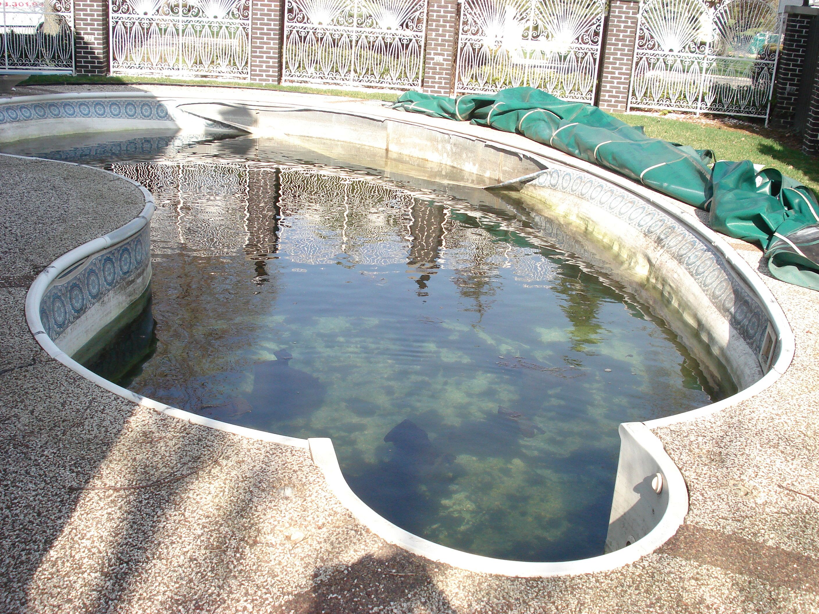 What To Do With My Viking Swimming Pool After a Flood? — Aqua Pools Online(04)