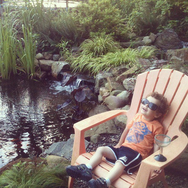 9 Essential Benefits of Adding a Pond or Water Garden to Your Landscape