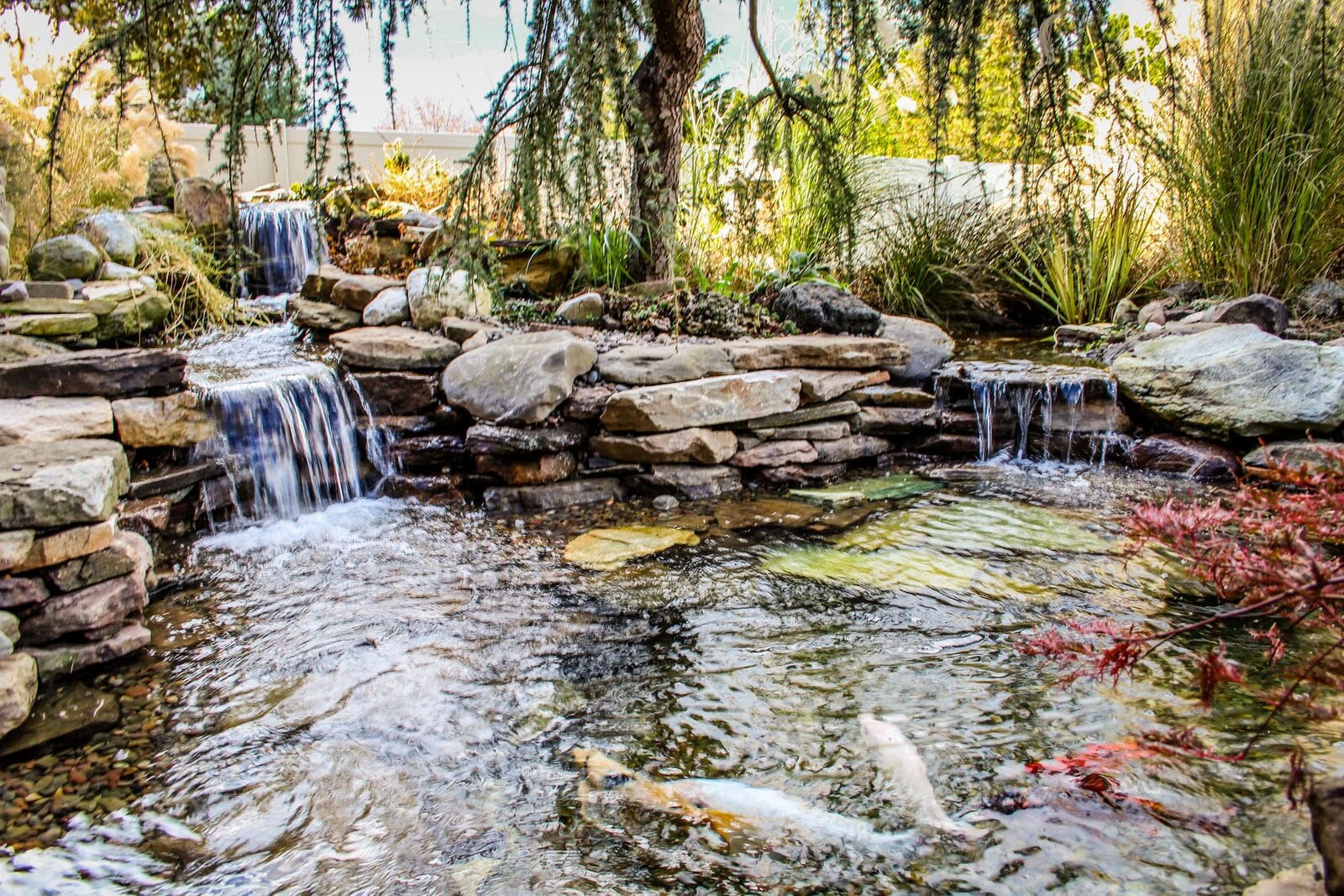 How to Find a Pond leak Pond & Water Feature Experts in PA AquaReale