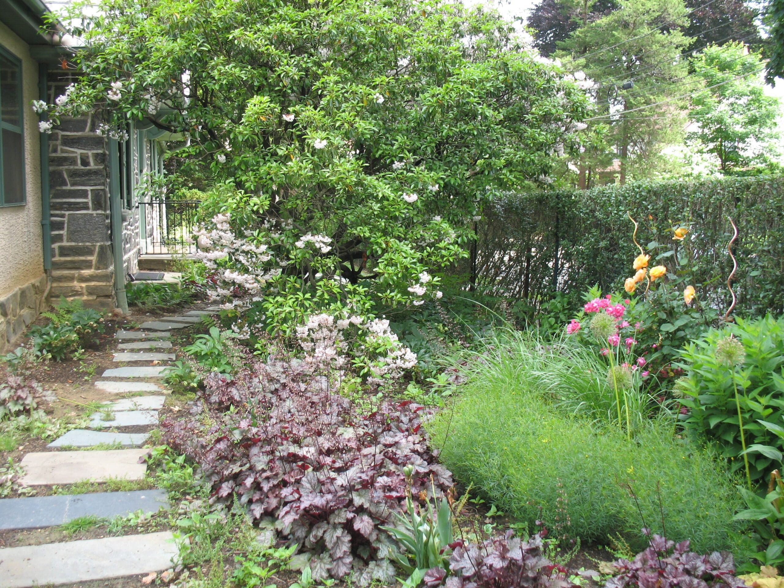 Goodbye Mud, Hello Function How to Create a WaterSmart Backyard