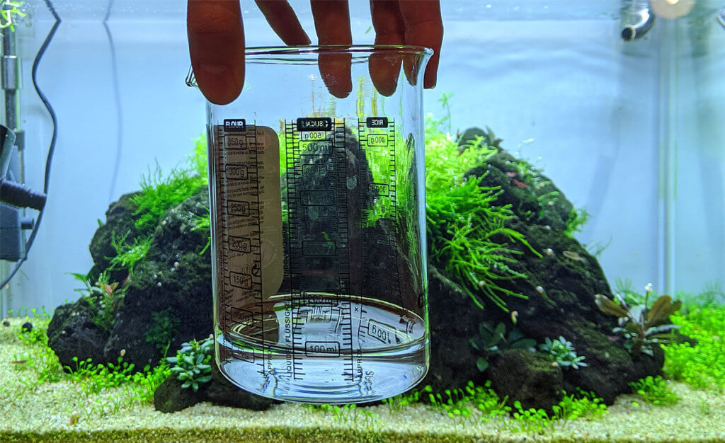 Algen Archive » AquarienTipps.de