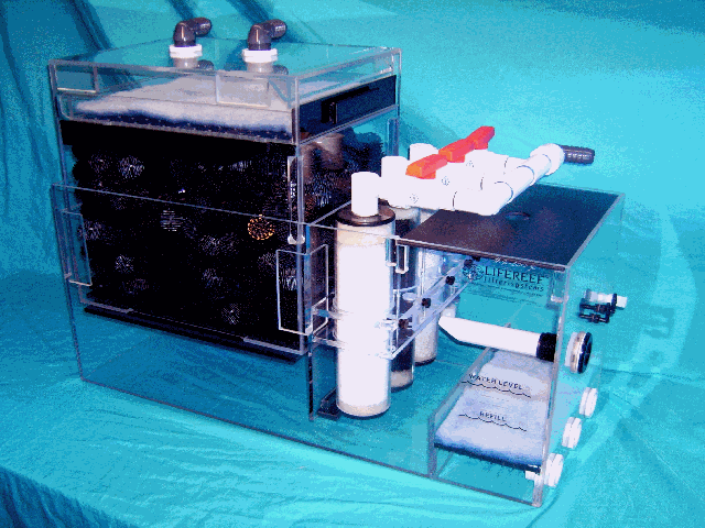 A Complete Guide to Choosing the Best Aquarium Filter