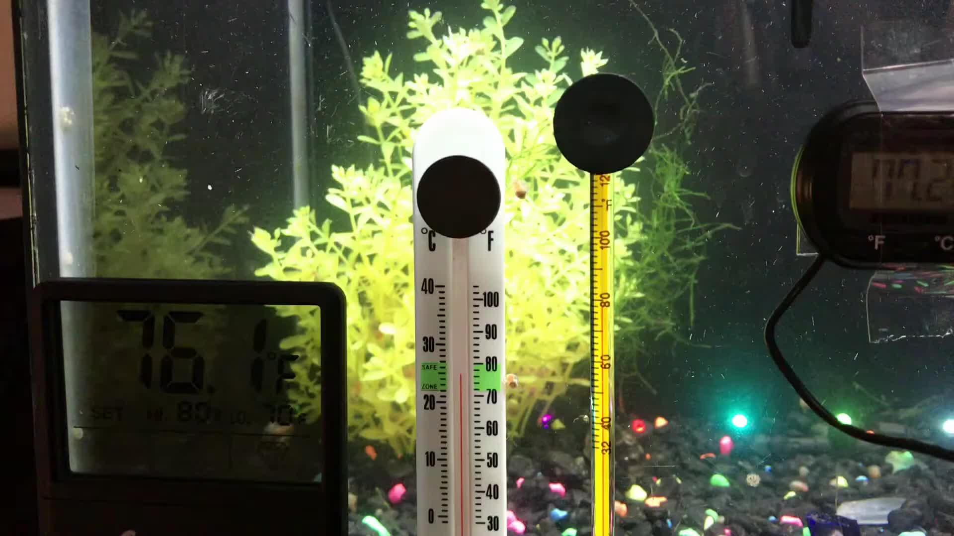 Aquarium Thermometer Test Die 5 Besten 2023