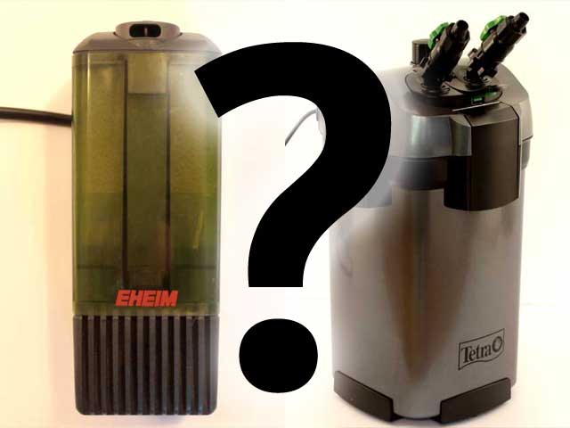 Innenfilter oder Außenfilter? Aquarium Perfekt!