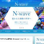 N‐wave