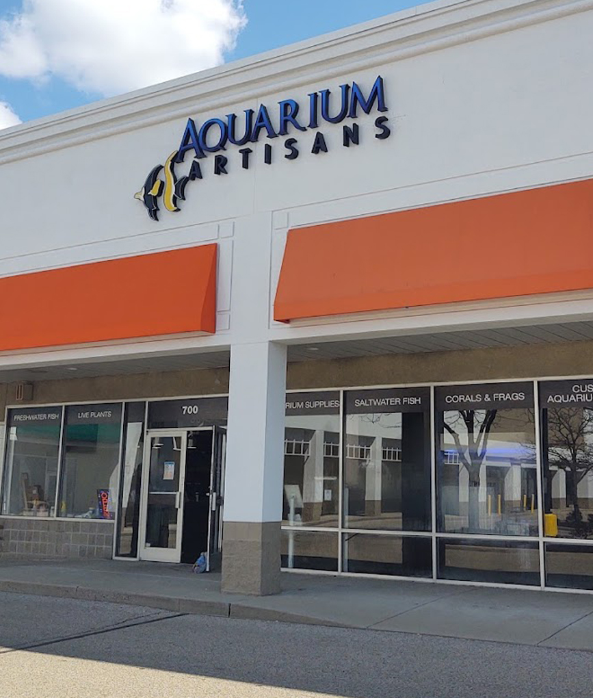 Aquarium Artisans Transforming Aquariums into Art