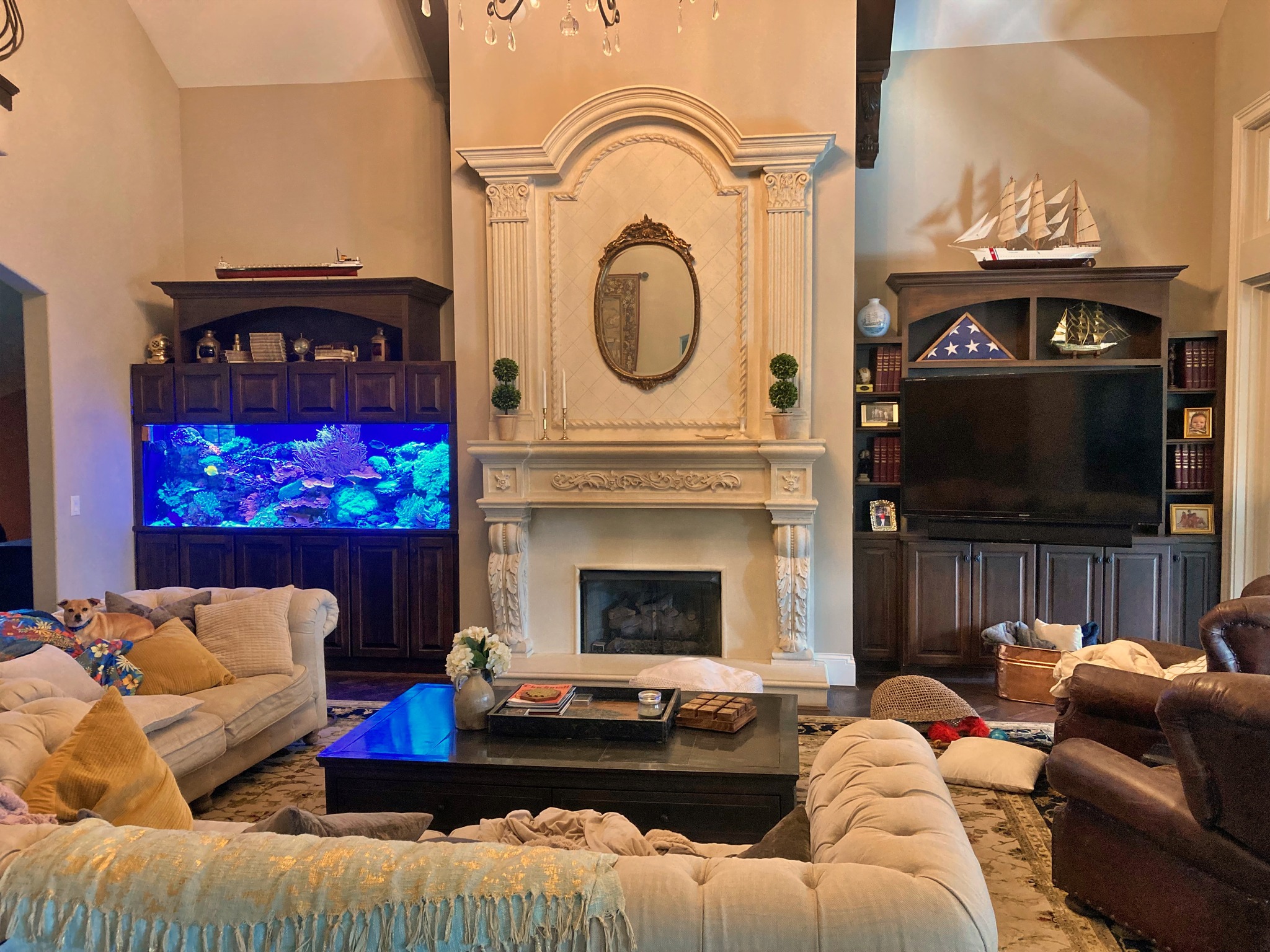 Custom Aquariums Aquarium Artisans