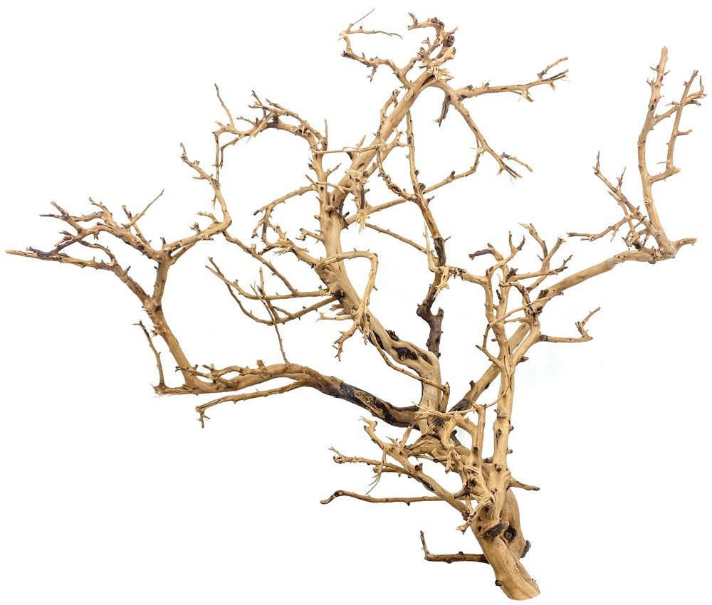 Tiny Ramous Wood 1418" Driftwood Branches Aquarium Connection