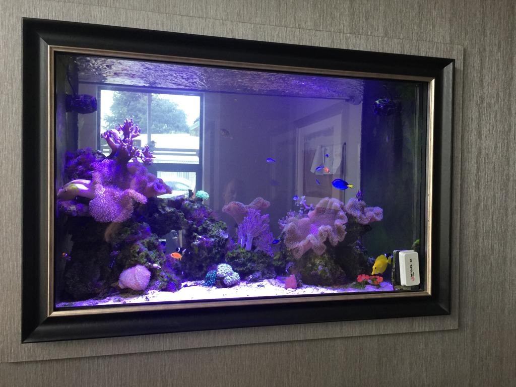 Aquarium Wall Divider