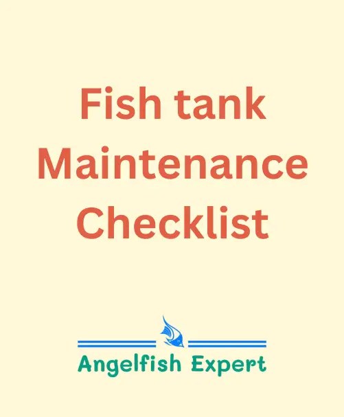 Angelfish Tank Size, Setup, Temperature, How many Gallons