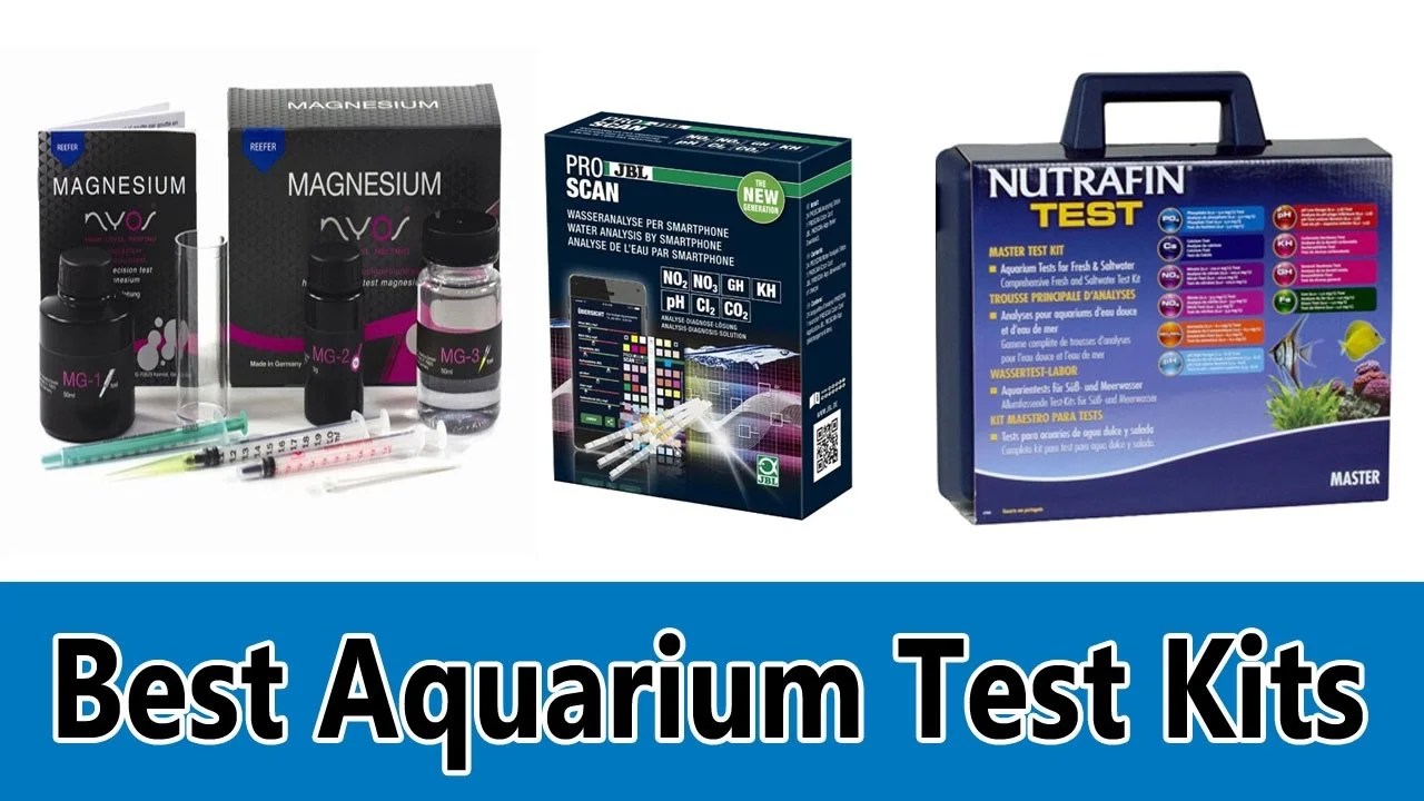 [2022] Top 10 Best Aquarium Gravel For Healthy Plants With Vibrant Colors