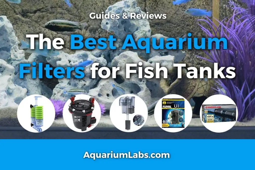 The Best Aquarium Filter of 2023 [Each Type Reviewed]