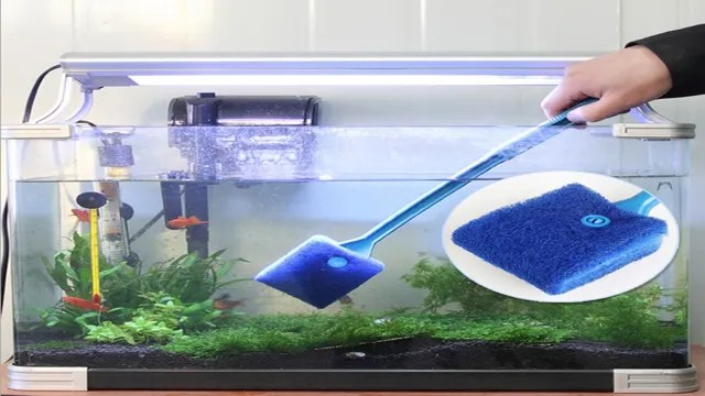 How to Clean Algae from Aquarium: The Ultimate Guide to a Crystal Clear