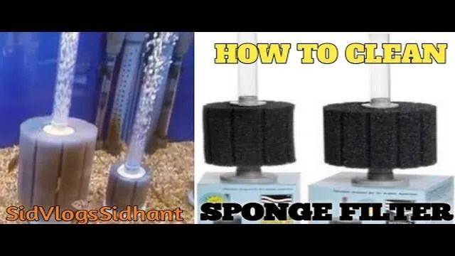 How to Clean Aquarium Sponge Filter Like New: A Step-by-Step Guide