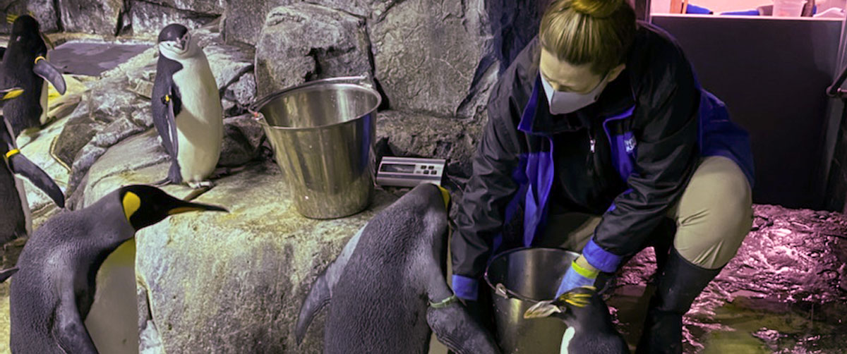 National Zookeeper Appreciation Week Aquarium Works