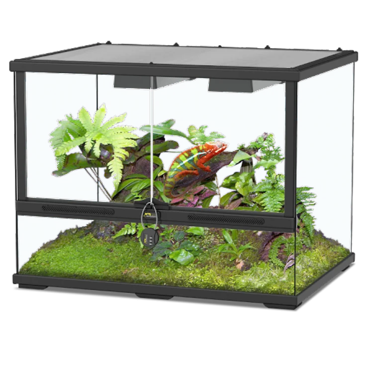 Terralantis Glass Terrarium 60x45x45cm aquascape
