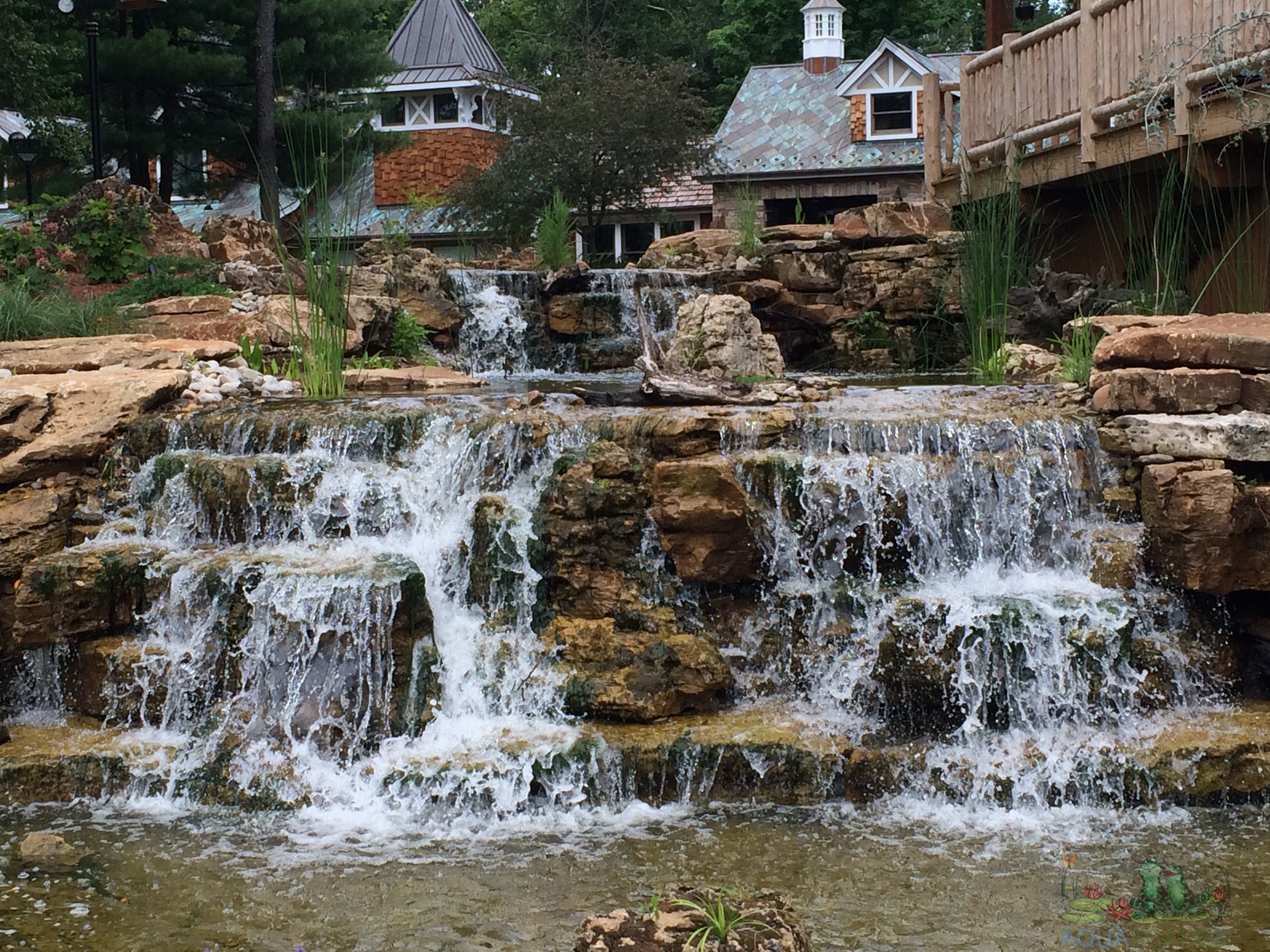 Recent Projects Aquascapes