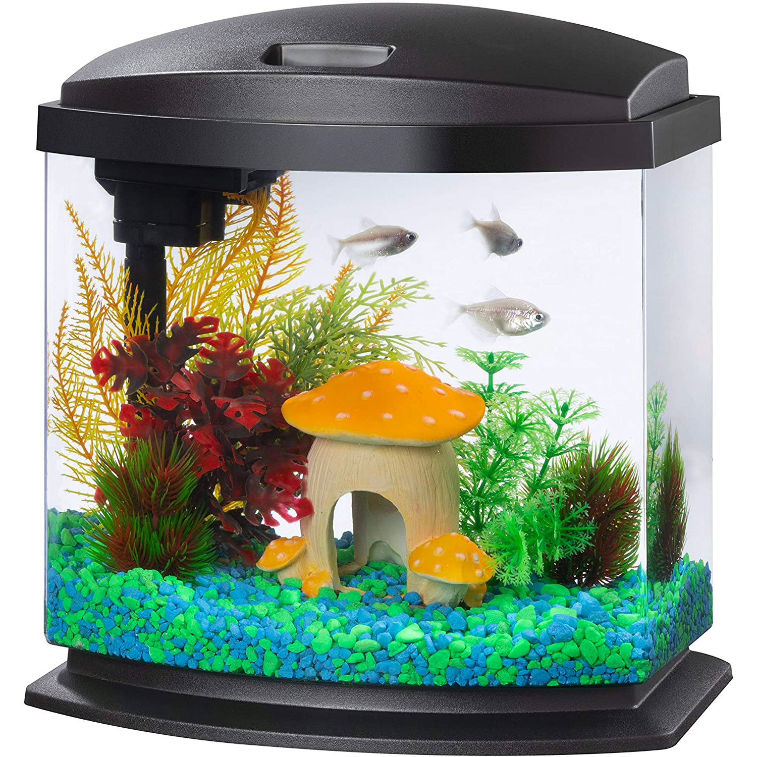 Aqueon LED 2.5 Gallon MiniBow SmartClean Fish Aquarium Kit