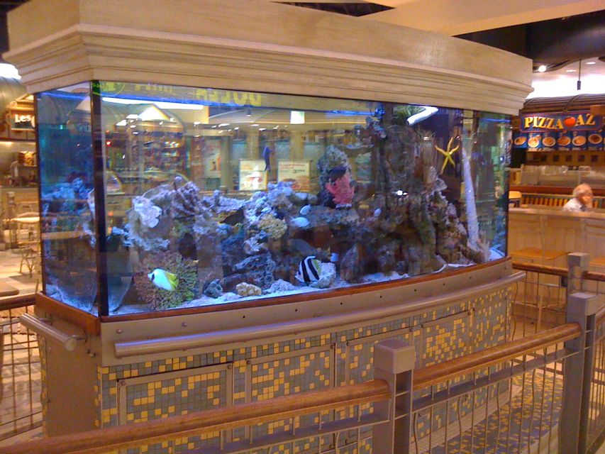 Fabrication aquarium sur mesure Montréal & Québec ǀ Aqua Style Design