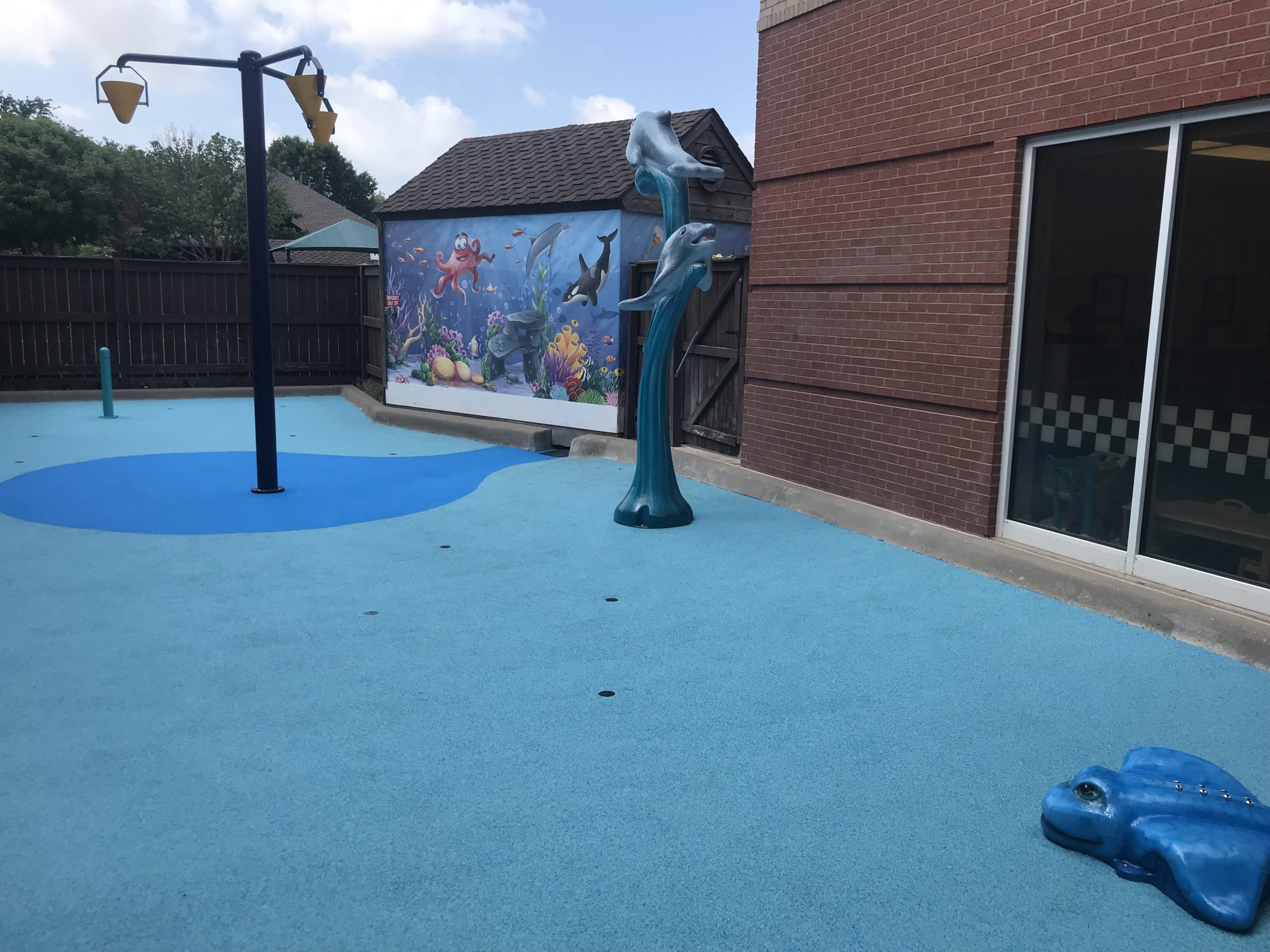 Creme de la Creme Allen Aquatic Interactive