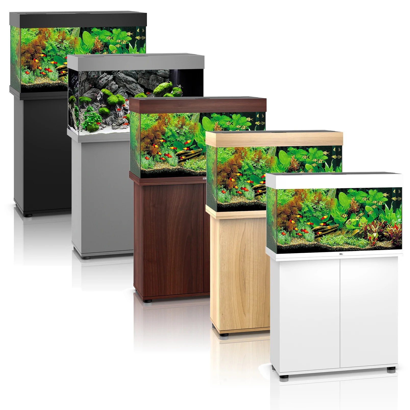 Juwel Rio 125 LED aquarium available in 5 colours Aquatic City