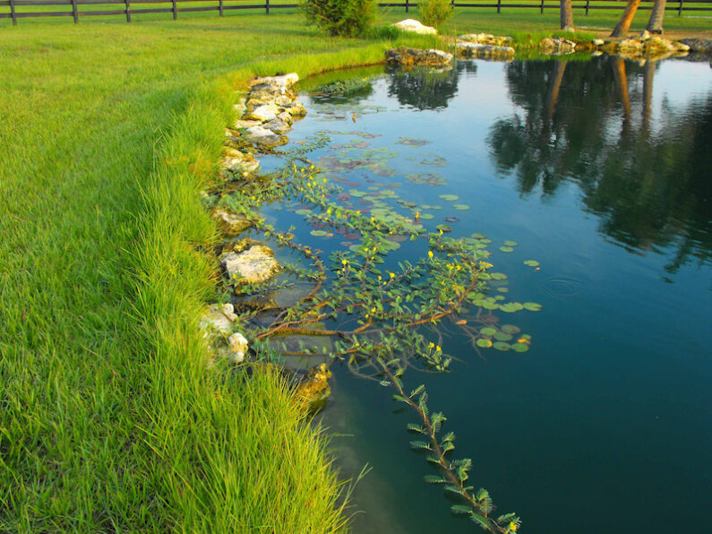 Large Ponds For Your Home or Property in Florida by Aquatic Designs Ponds