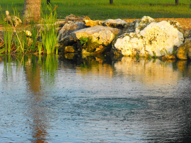 Large Ponds For Your Home or Property in Florida by Aquatic Designs Ponds