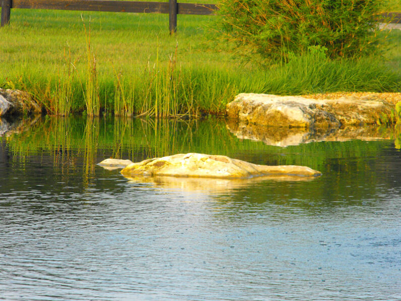 Large Ponds For Your Home or Property in Florida by Aquatic Designs Ponds