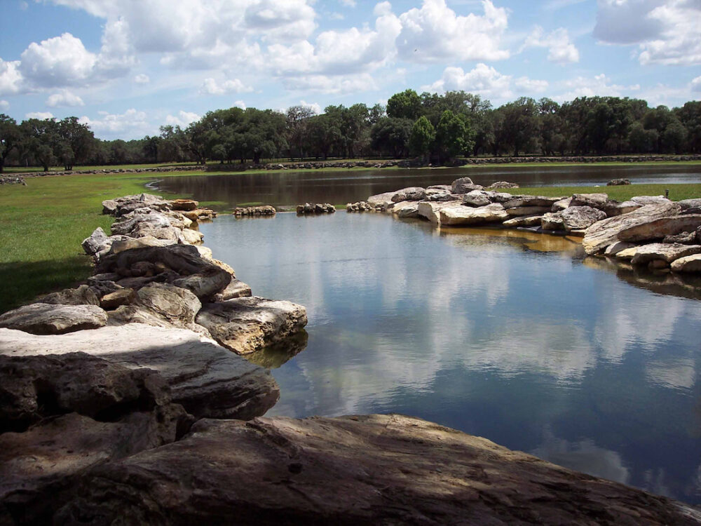 Large Ponds For Your Home or Property in Florida by Aquatic Designs Ponds