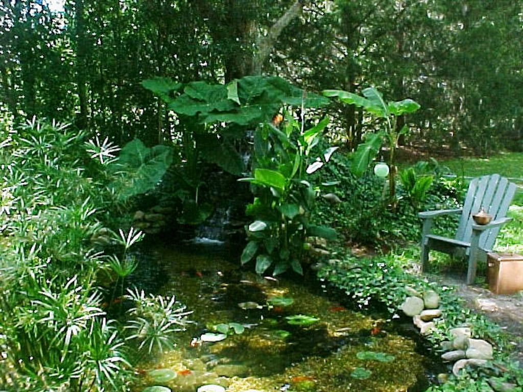 Small Ponds For Your Backyard or Property in Florida by Aquatic Designs