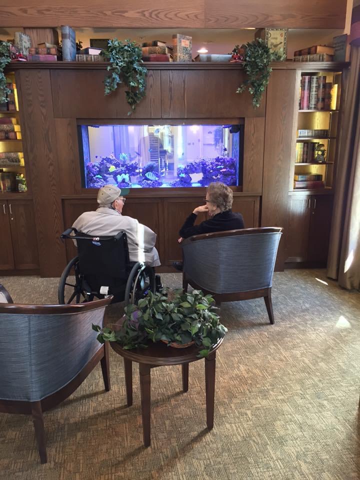 Portfolio Aquatic Escapes Aquariums Inc