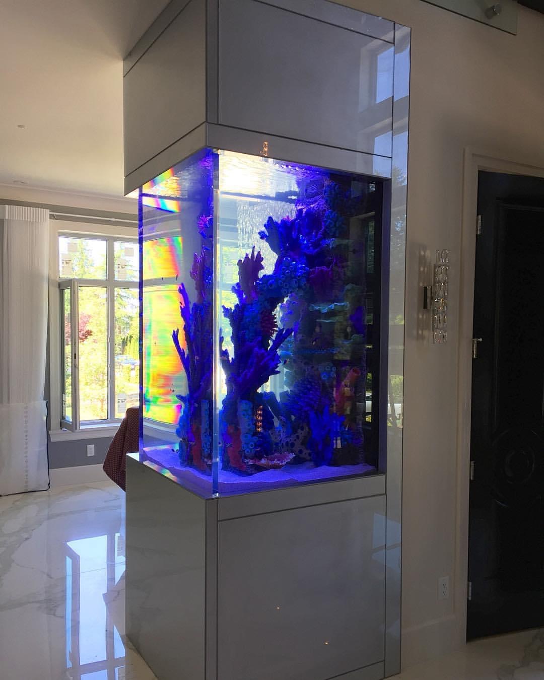 Portfolio Aquatic Escapes Aquariums Inc