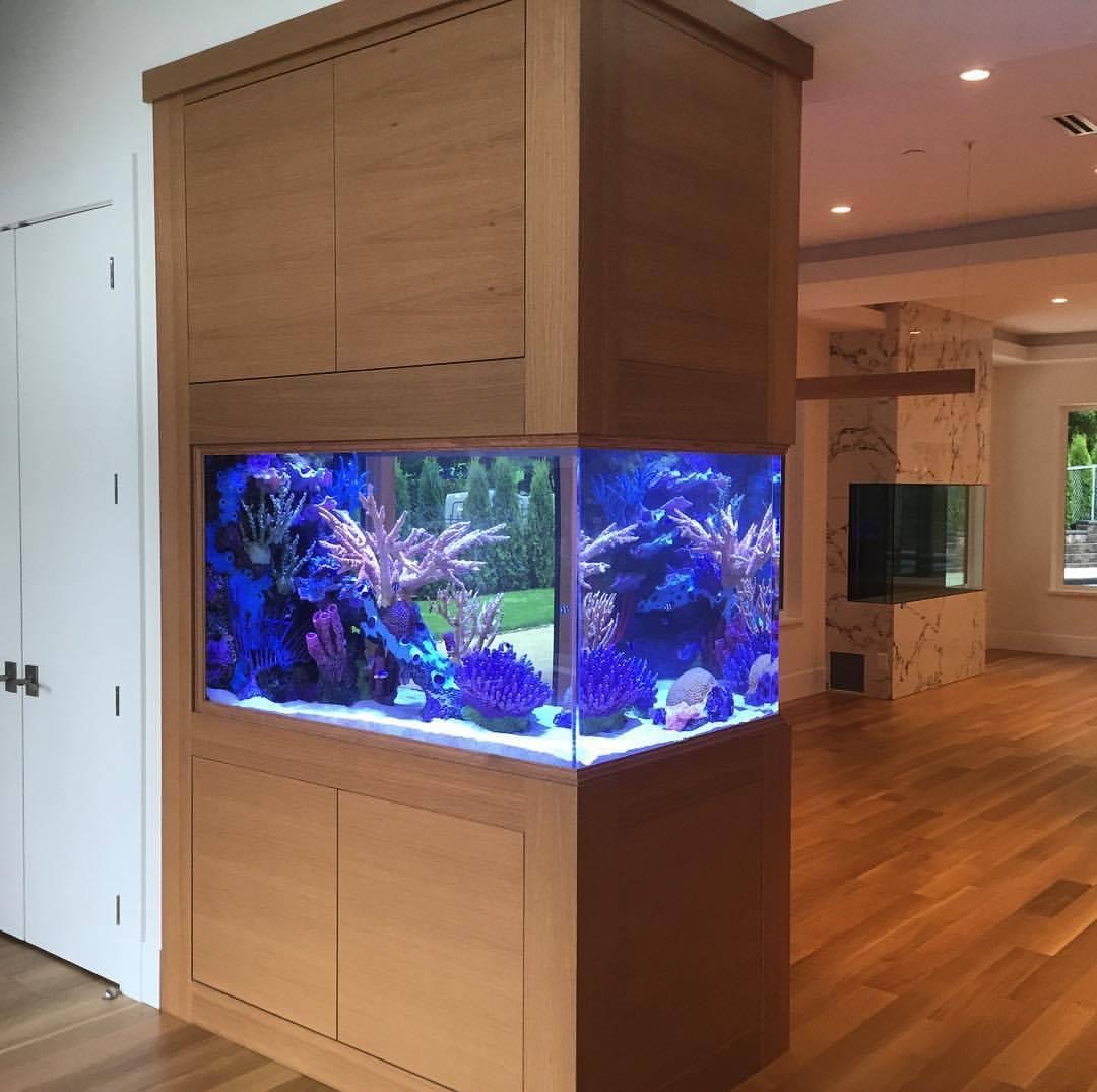 Portfolio Aquatic Escapes Aquariums Inc