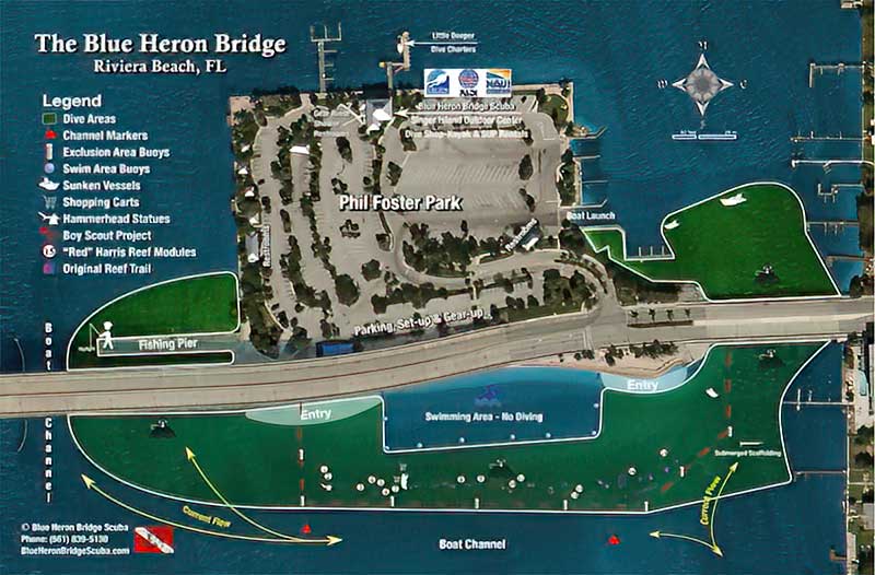 Blue Heron Bridge • Sunday, August 24, 2025 Aqautic Ventures