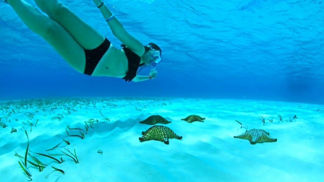 10 Reasons why you have to try Snorkeling in Cozumel