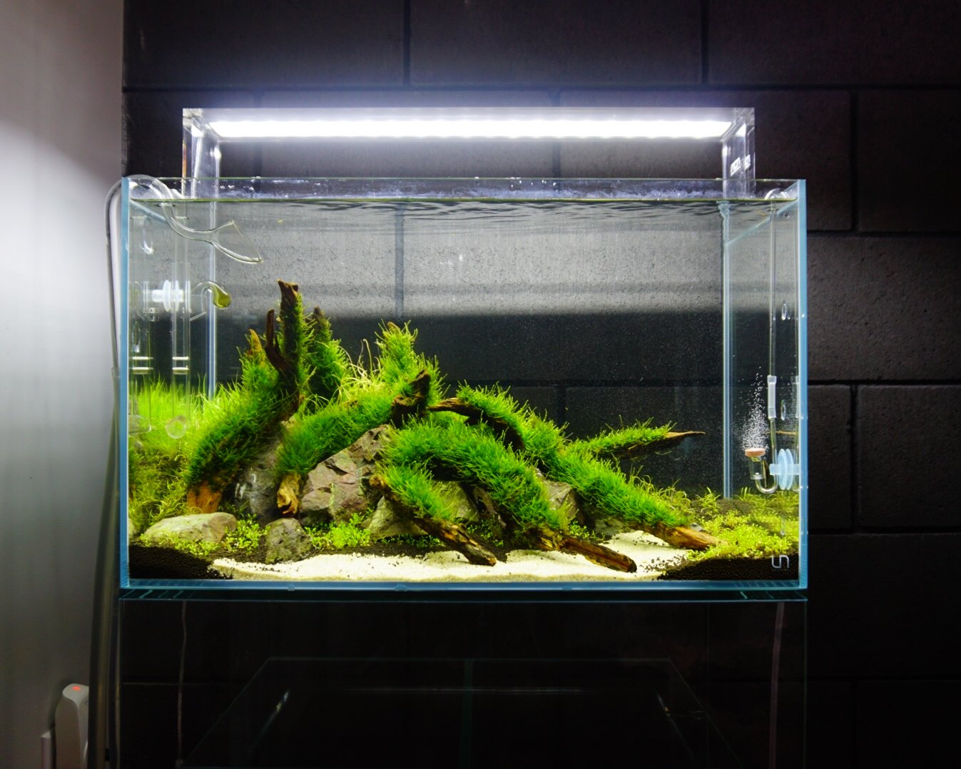 Aquazone