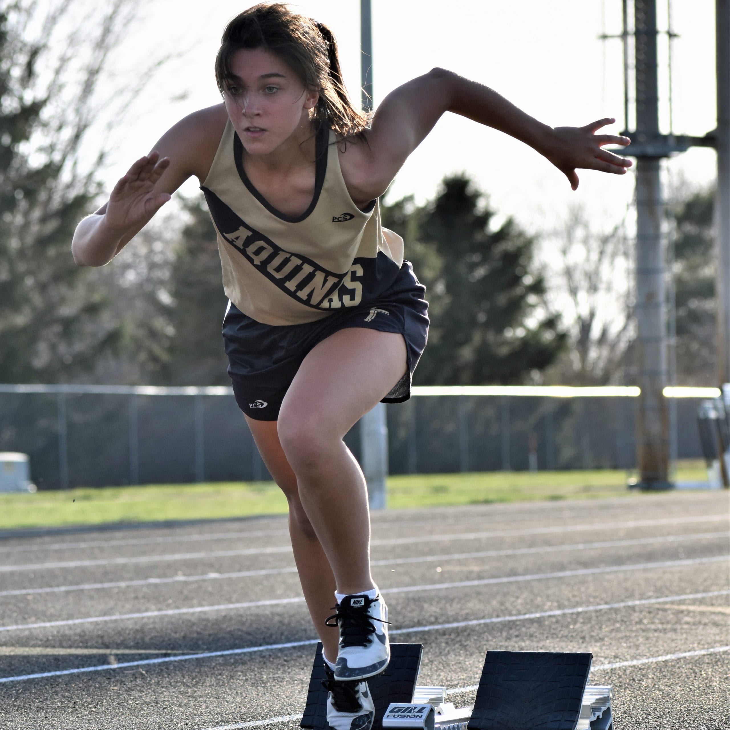 David City Aquinas Mascot